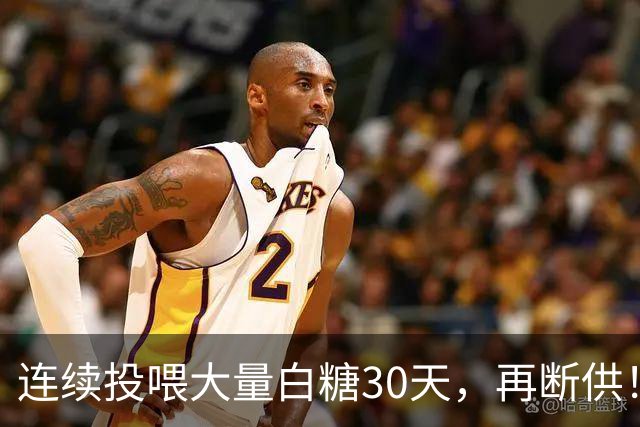 连续投喂大量白糖30天，再断供！国外网红扮“蚂蚁天神”整蛊野生蚁群